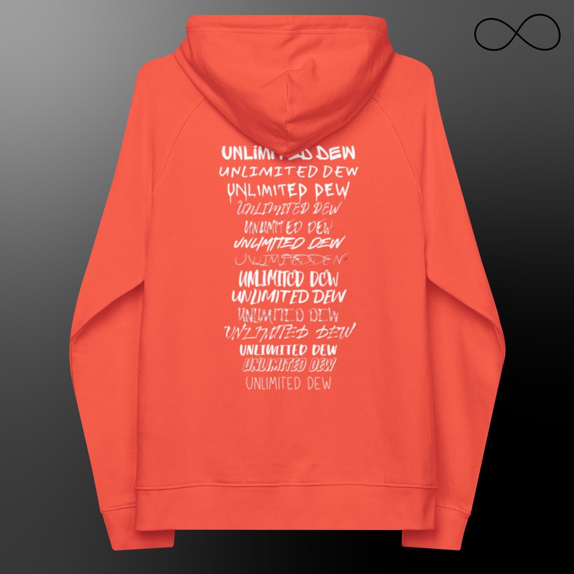 MULTIPLE FONTS- reg- Unisex eco raglan hoodie